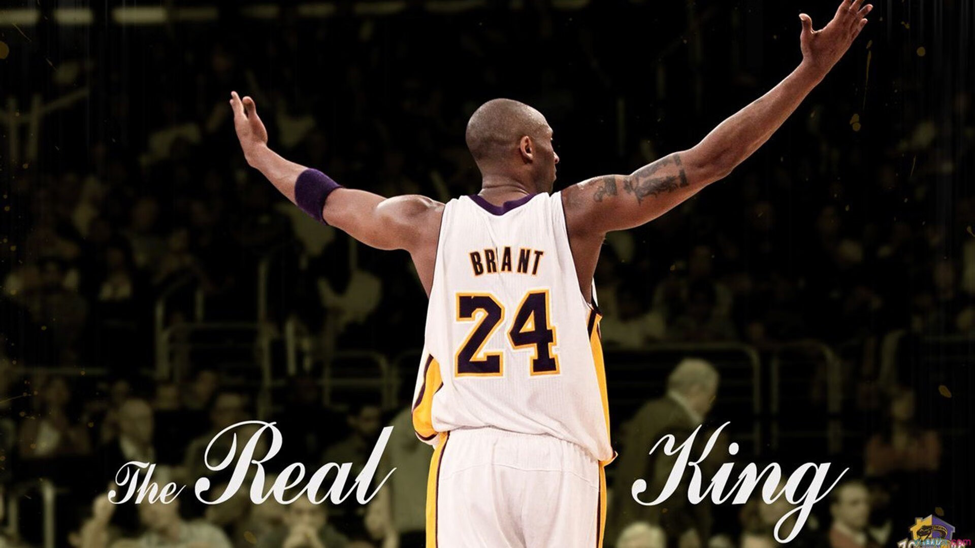 班凯罗对手完全无解，森林狼冲垮黄蜂，当天赋遇见体系，篮球的残酷美学